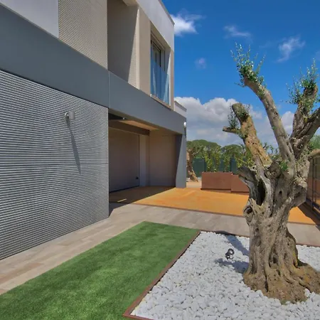 Modern Olivera With Private Pool Tatil Evi Calella De Palafrugell